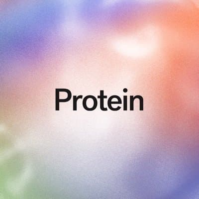 Protein