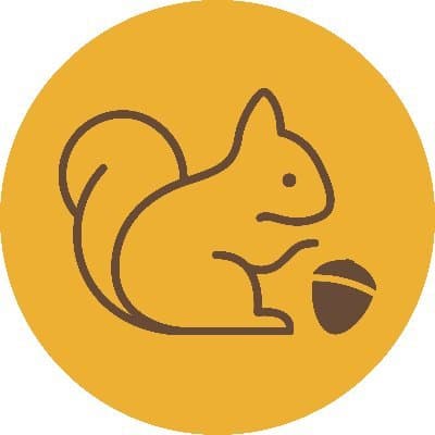 NutboxDAO